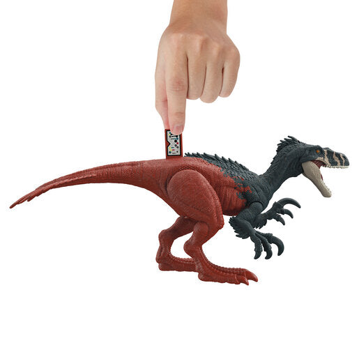 Jurassic World Megaraptor Dinosaur Figure The Entertainer Pakistan 8113