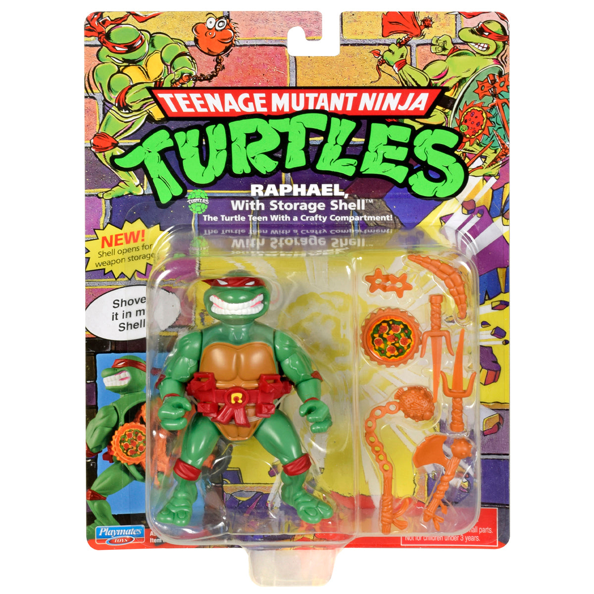 Teenage Mutant Ninja Turtles Figure with Storage Shell (Styles Vary)