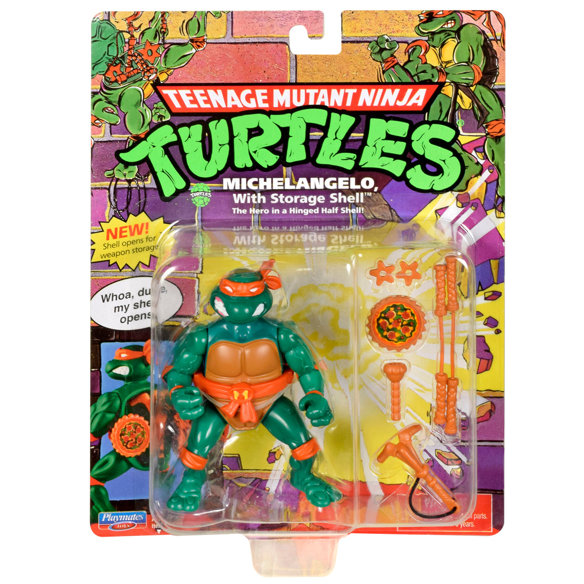 Teenage Mutant Ninja Turtles Figure with Storage Shell (Styles Vary)